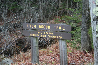 Lyon Brook Trail