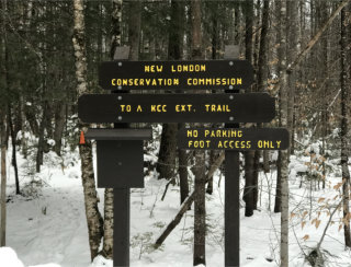 Chestnut Lane connector